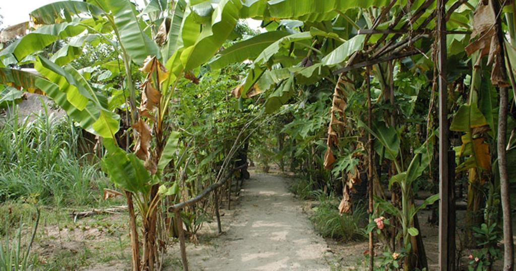 Samon Village Kampot Bagian luar foto